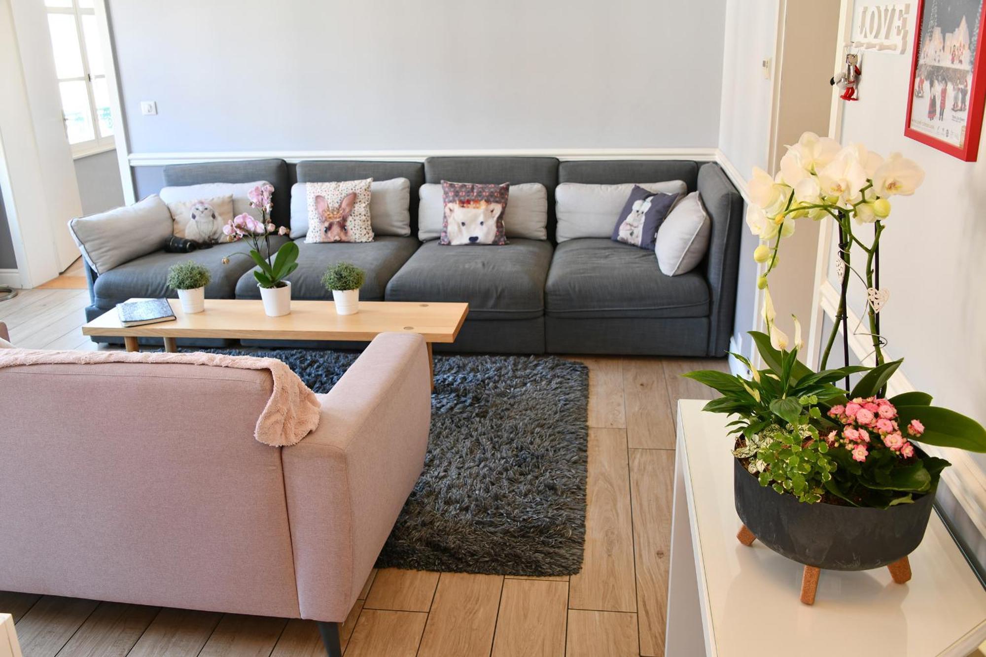 Appartement The Fairytale - Petite Venise Colmar Exterior foto